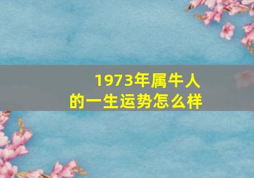 1973年属牛人的一生运势怎么样