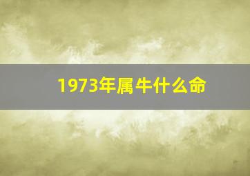 1973年属牛什么命