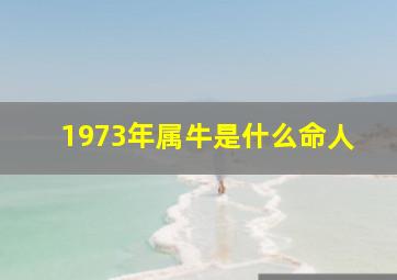 1973年属牛是什么命人