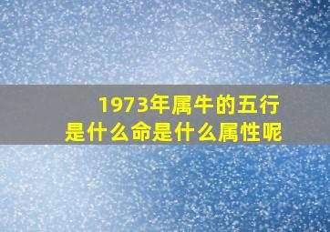 1973年属牛的五行是什么命是什么属性呢