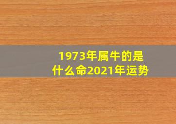 1973年属牛的是什么命2021年运势