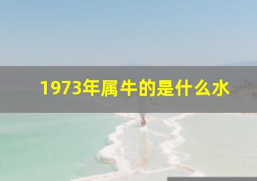 1973年属牛的是什么水