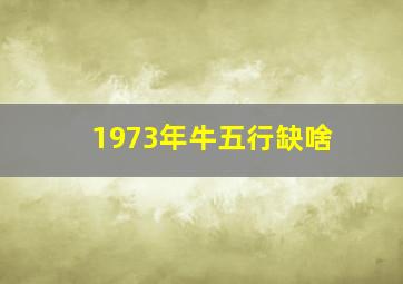 1973年牛五行缺啥