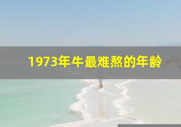 1973年牛最难熬的年龄