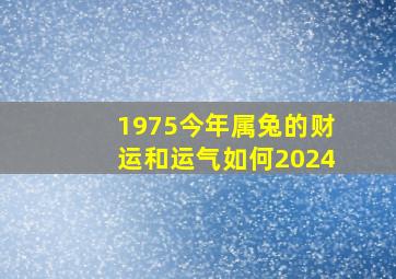 1975今年属兔的财运和运气如何2024