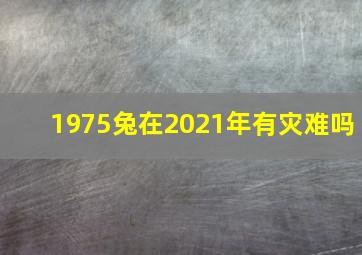 1975兔在2021年有灾难吗