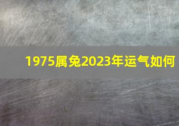 1975属兔2023年运气如何