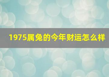 1975属兔的今年财运怎么样