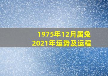 1975年12月属兔2021年运势及运程