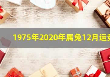 1975年2020年属兔12月运势