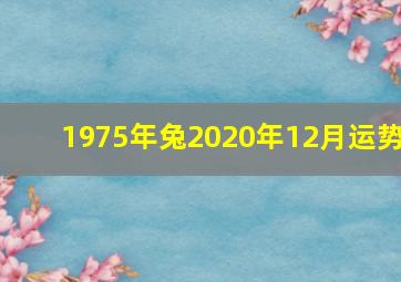 1975年兔2020年12月运势