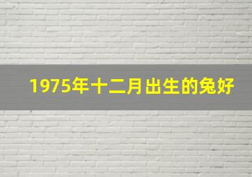 1975年十二月出生的兔好