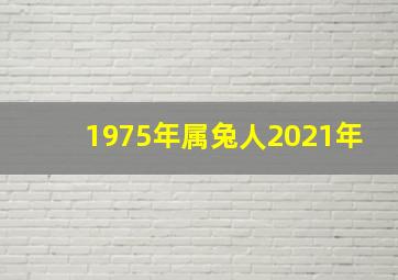 1975年属兔人2021年