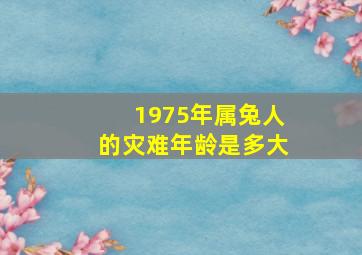 1975年属兔人的灾难年龄是多大