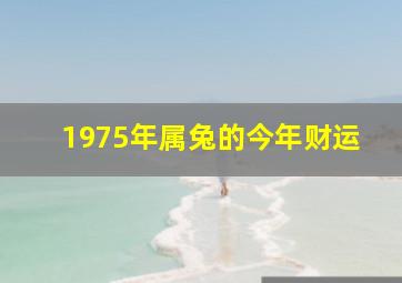 1975年属兔的今年财运