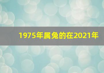 1975年属兔的在2021年