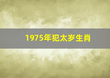 1975年犯太岁生肖