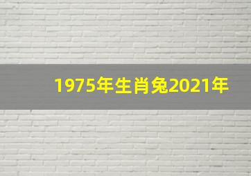 1975年生肖兔2021年