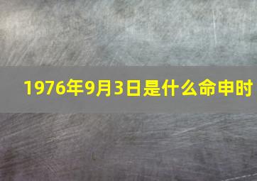 1976年9月3日是什么命申时