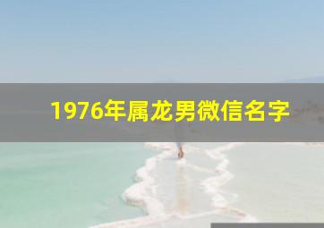 1976年属龙男微信名字