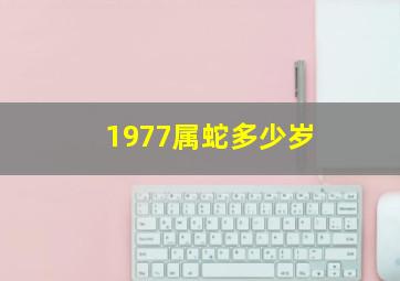 1977属蛇多少岁