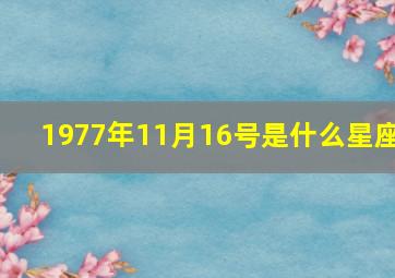 1977年11月16号是什么星座