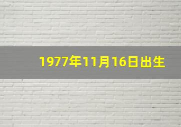 1977年11月16日出生