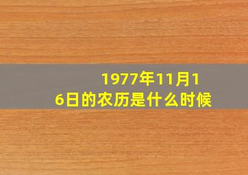 1977年11月16日的农历是什么时候