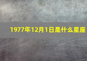 1977年12月1日是什么星座