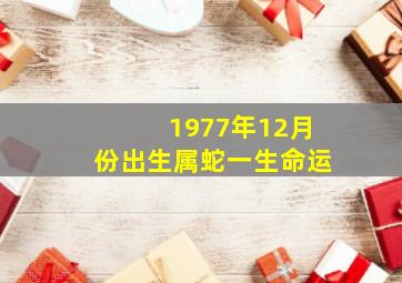 1977年12月份出生属蛇一生命运