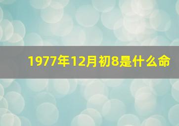 1977年12月初8是什么命