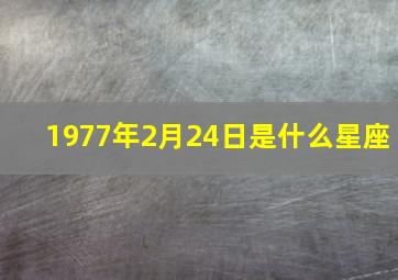 1977年2月24日是什么星座