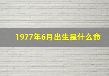 1977年6月出生是什么命