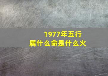 1977年五行属什么命是什么火