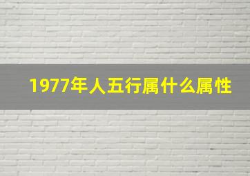 1977年人五行属什么属性