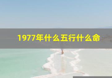 1977年什么五行什么命