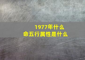 1977年什么命五行属性是什么