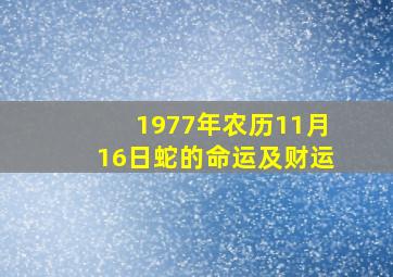 1977年农历11月16日蛇的命运及财运