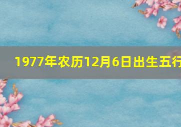 1977年农历12月6日出生五行