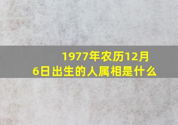 1977年农历12月6日出生的人属相是什么