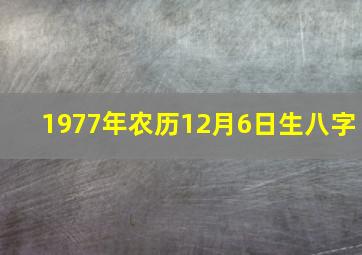 1977年农历12月6日生八字