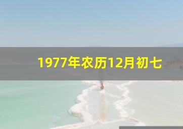 1977年农历12月初七