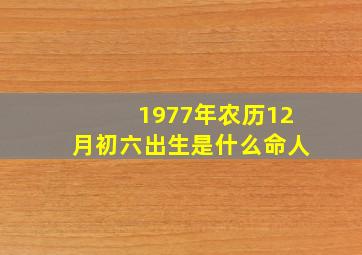 1977年农历12月初六出生是什么命人