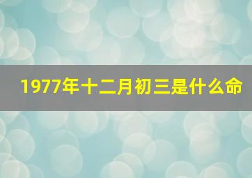 1977年十二月初三是什么命