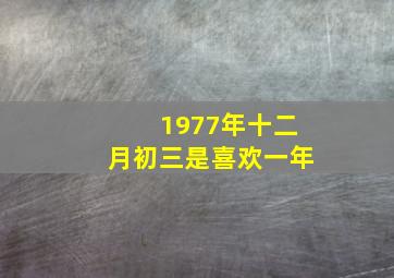 1977年十二月初三是喜欢一年