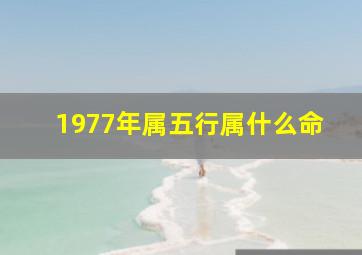 1977年属五行属什么命