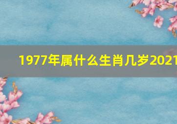 1977年属什么生肖几岁2021