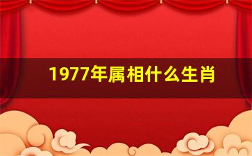 1977年属相什么生肖