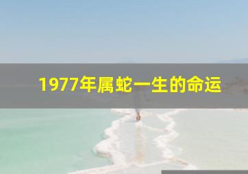 1977年属蛇一生的命运