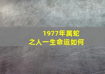 1977年属蛇之人一生命运如何